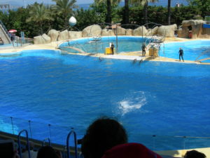 DSCN3421
