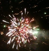 IMG_0295