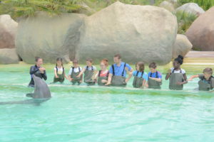 Sortie au Marineland